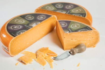 Gouda Brokkel 3 jaar