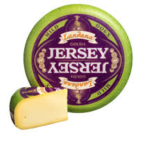Jersey Jong
