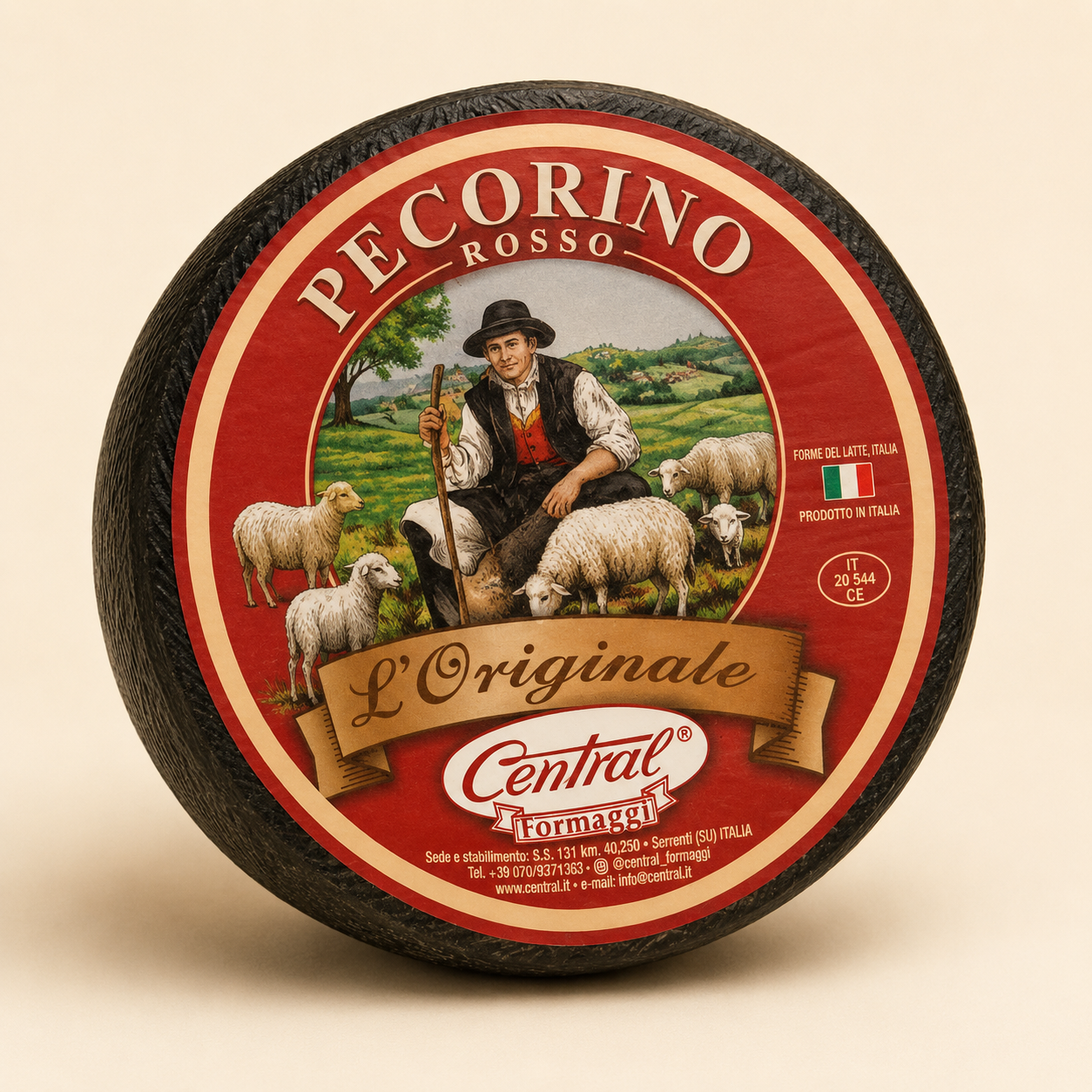 Pecorino